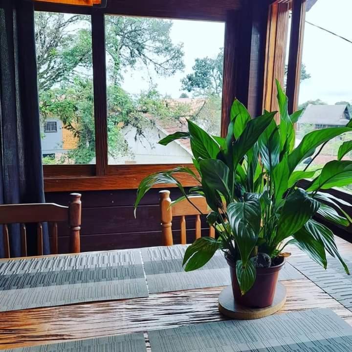 Hotel Refugio Jardim Mariana Canela Exteriér fotografie